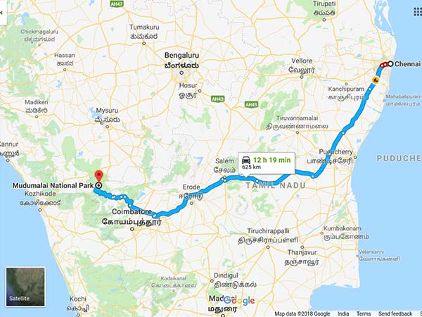 How To Reach Mudumalai National Park From Chennai