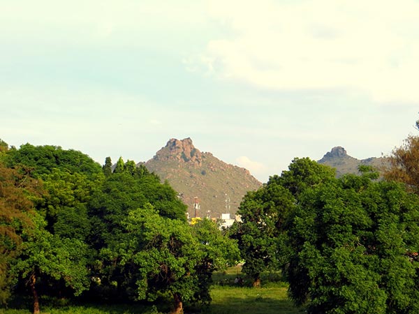 2) Vellore