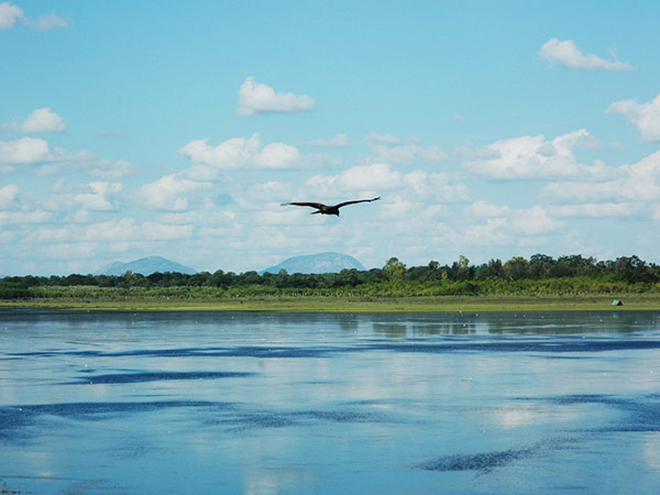 Hesaraghatta Lake