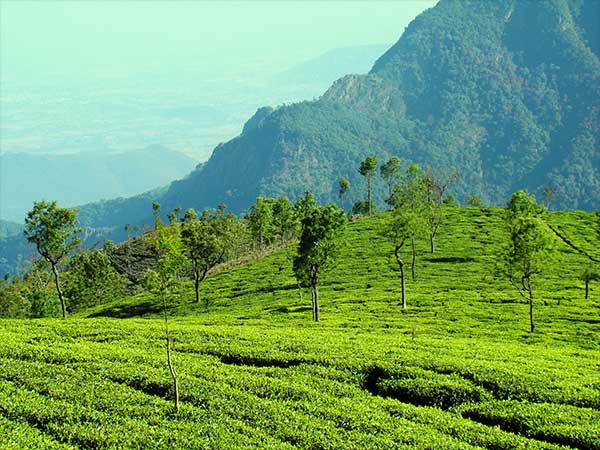 3) Ooty