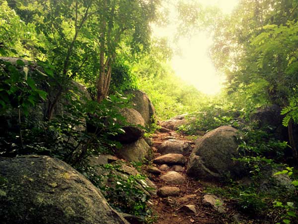 Final Destination – Yelagiri