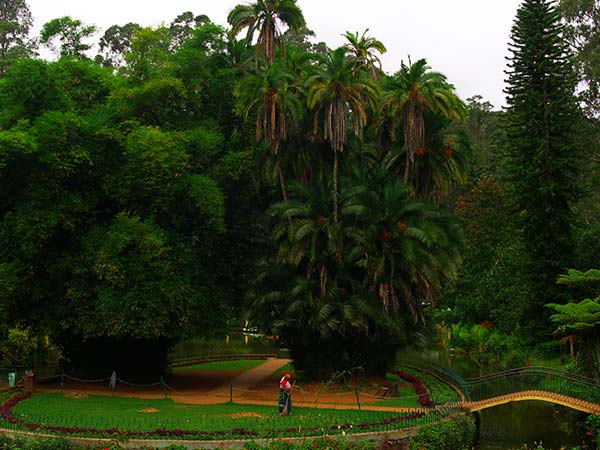 1) Sim's Park