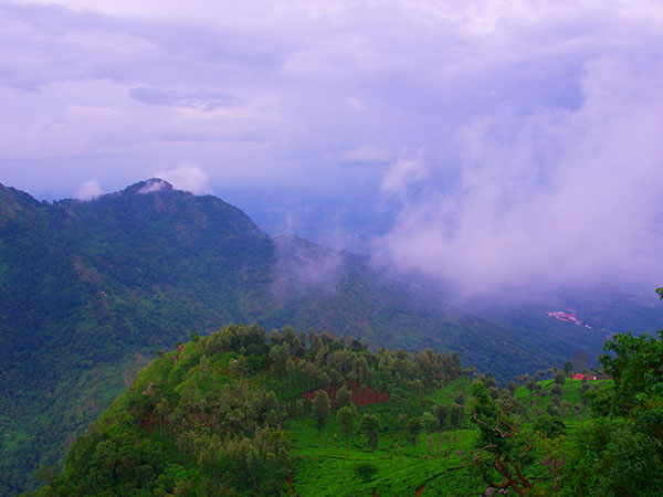 2) Dolphin's Nose