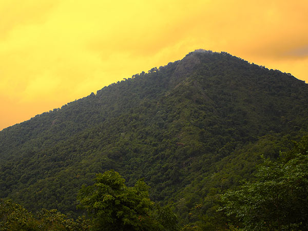 Best Time To Visit BR Hills