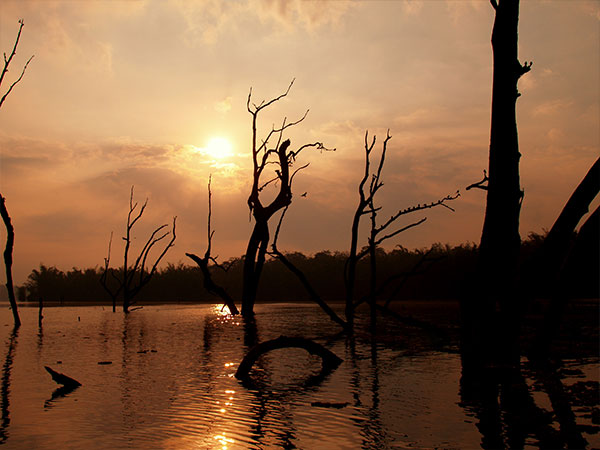 Best Time To Visit Kabini Wildlife Sanctuary