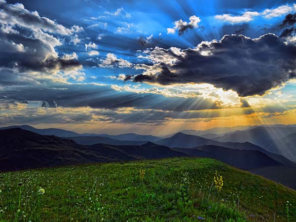 Best Time To Visit Eravikulam National Park