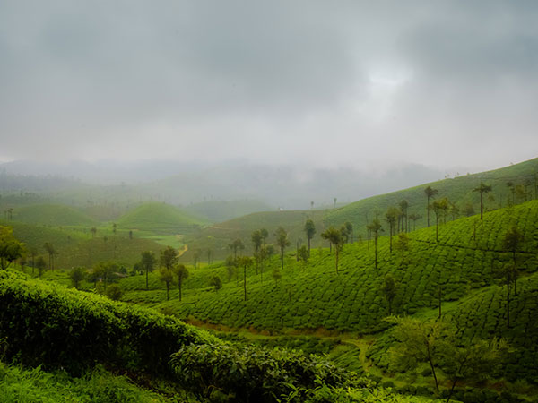 Valparai, Tamil Nadu