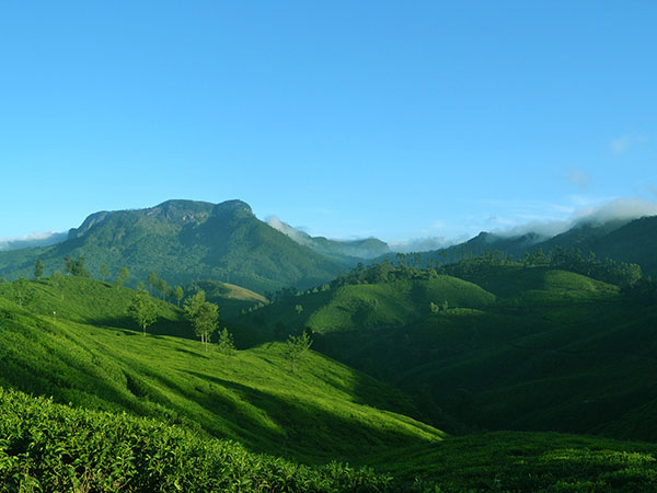 Munnar