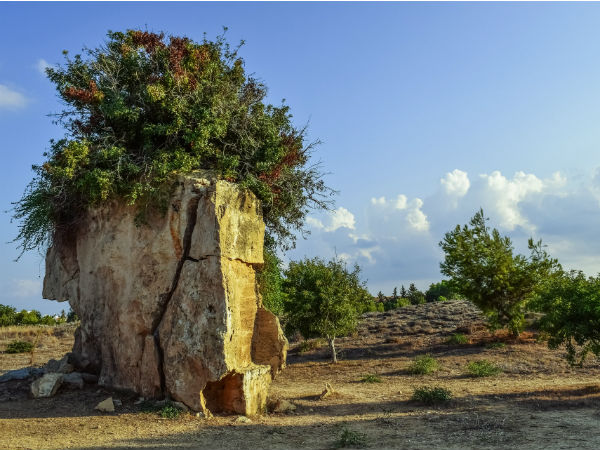 Best Time To Visit Lothal