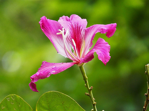 Best Time To Visit Bhavnagar