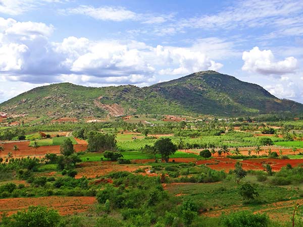 10. Nellore