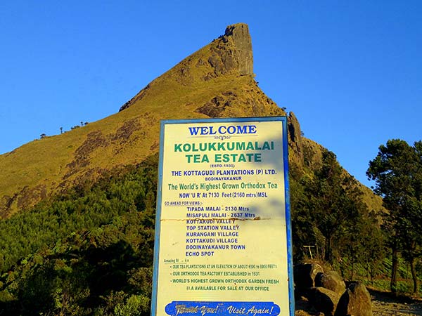 Kolukkumalai Tea Estate