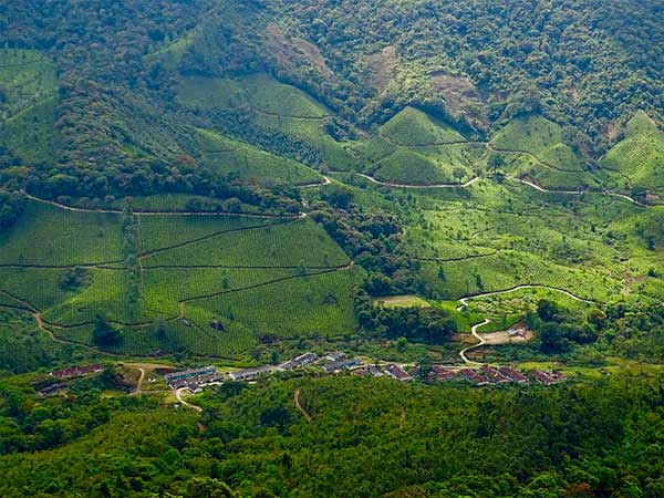 Adventurous Activities In Munnar