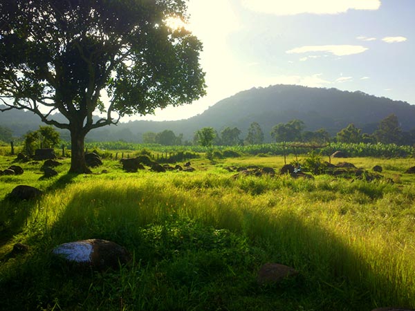 12. Yelagiri