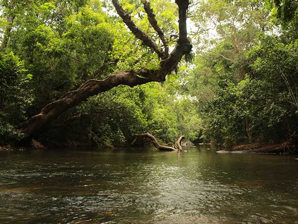 Kaveri Nisargadhama