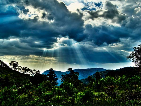 Best Time To Visit Yercaud
