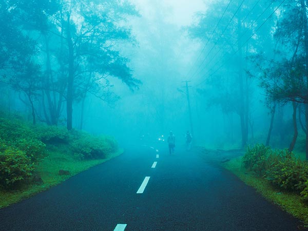 Shimla