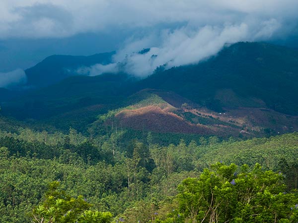 Devikulam, Kerala