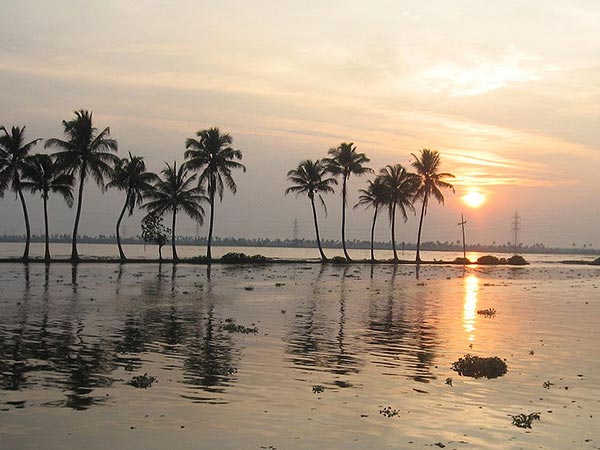 Things To Do In Ashtamudi Lake