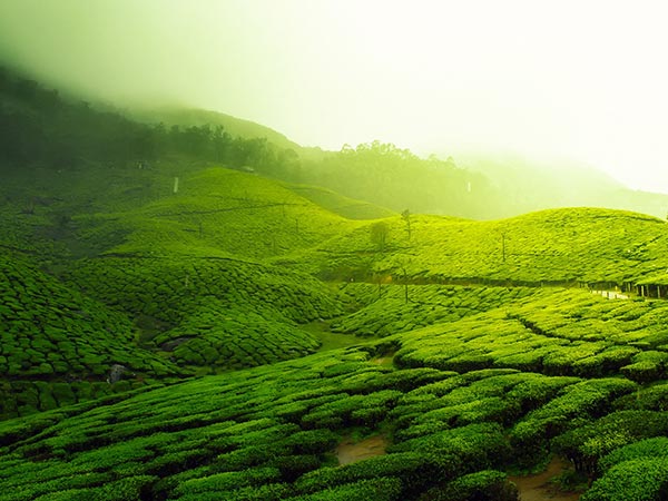 Chikmagalur