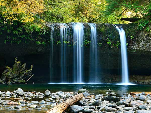 Waterfalls In Mhadei Wildlife Sanctuary