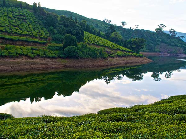 22. Meghamalai