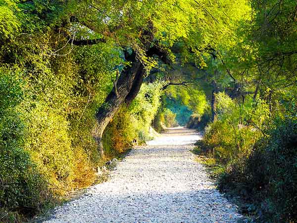 Keoladeo National Park