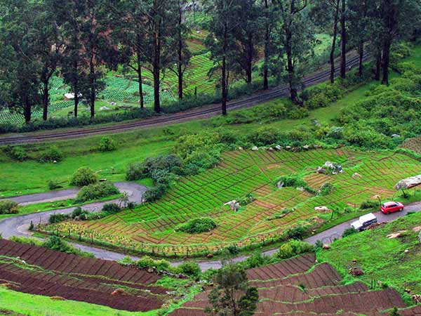 30. Ooty