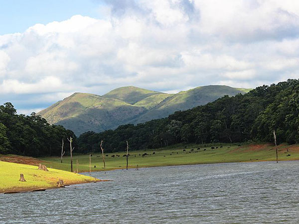 32. Thekkady