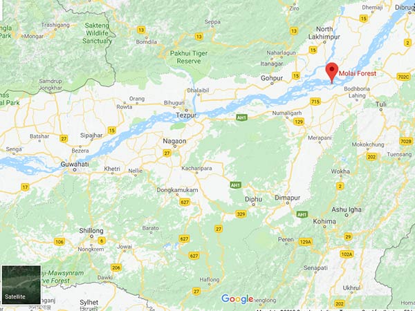 How To Reach Molai Forest