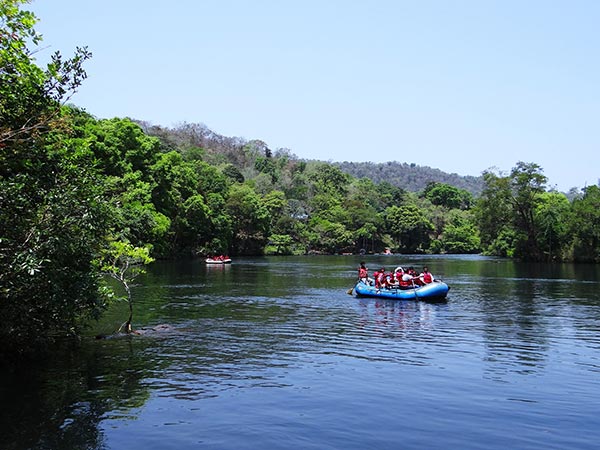 Dandeli