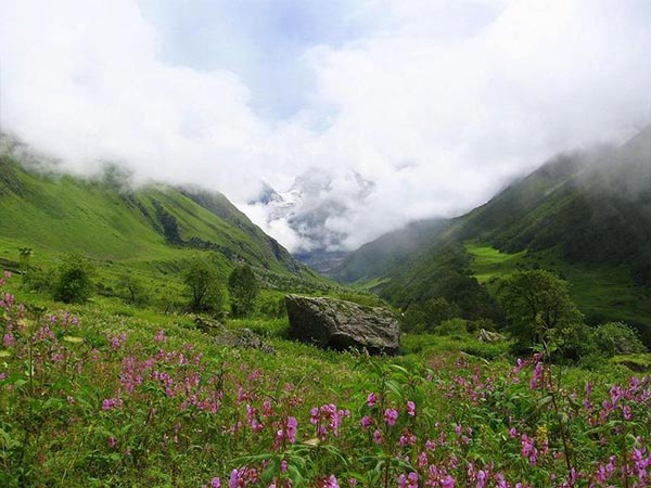 Valley Of Flowers, Uttarakhand