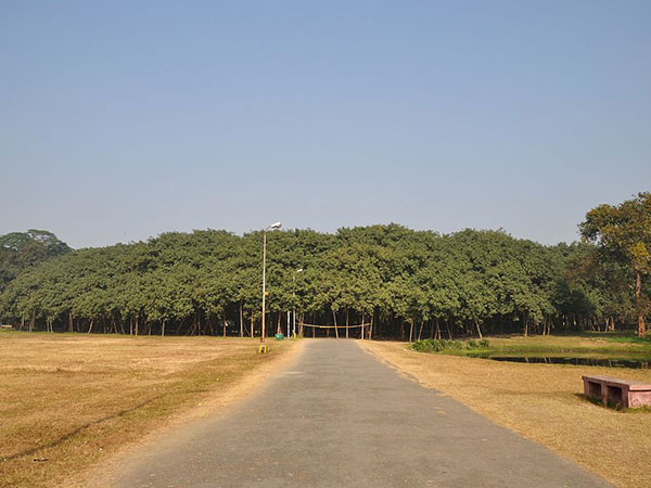 4) The Great Banyan, Kolkata
