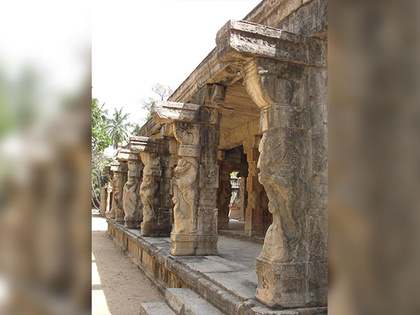 3) Pudukkottai