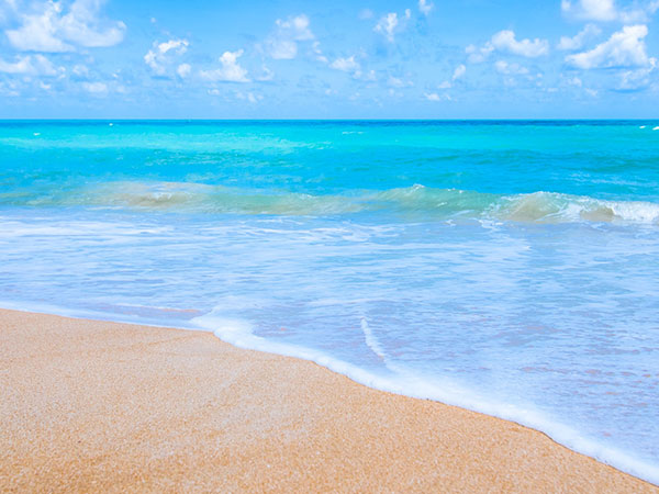 5) Havelock Island