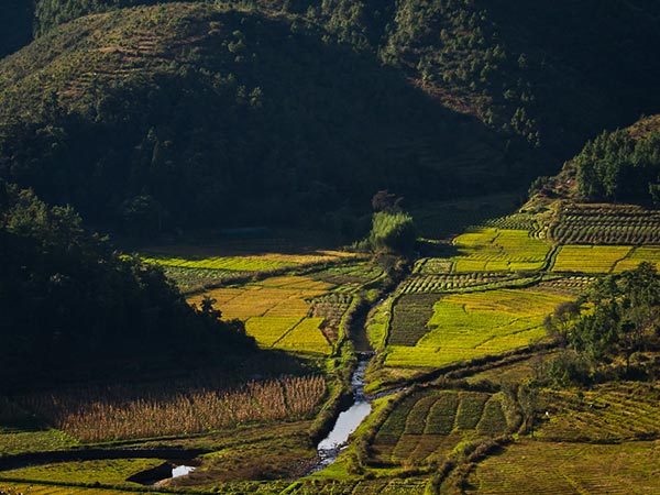 Best Time To Visit Kongthong