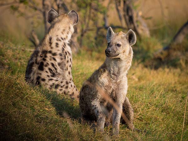 Bhimbandh Wildlife Sanctuary