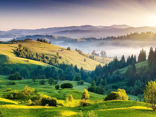 Shillong