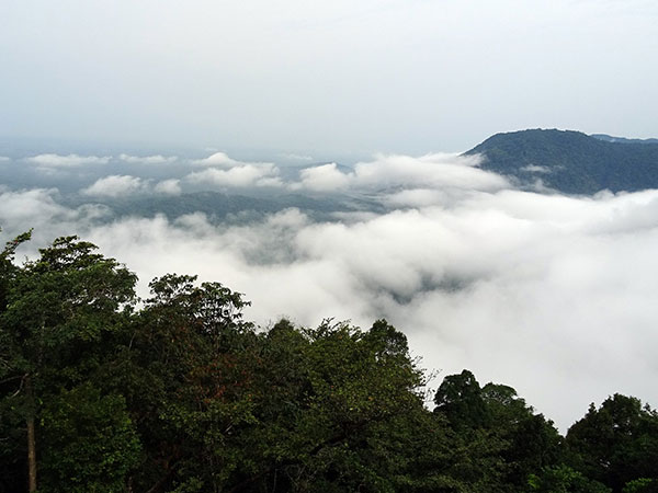 Agumbe