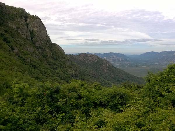 6. Tirupati