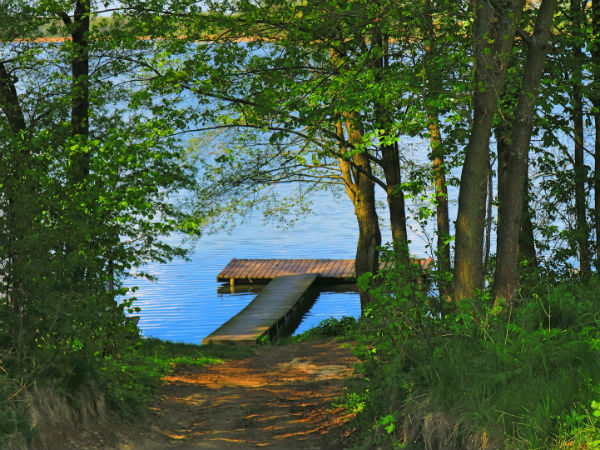 Picnic Around The Lake