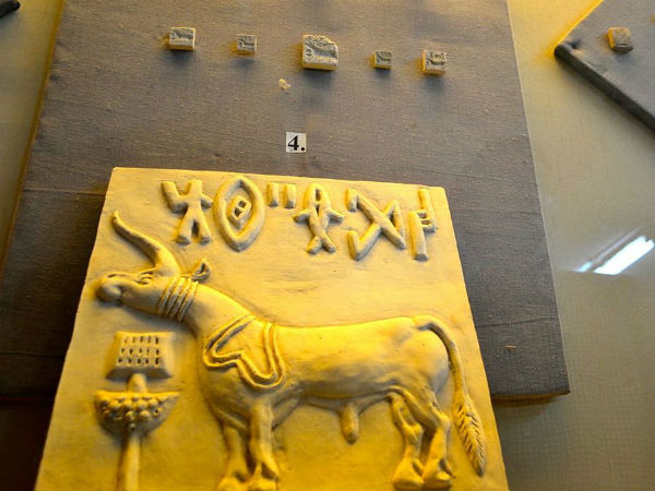 Lothal Museum