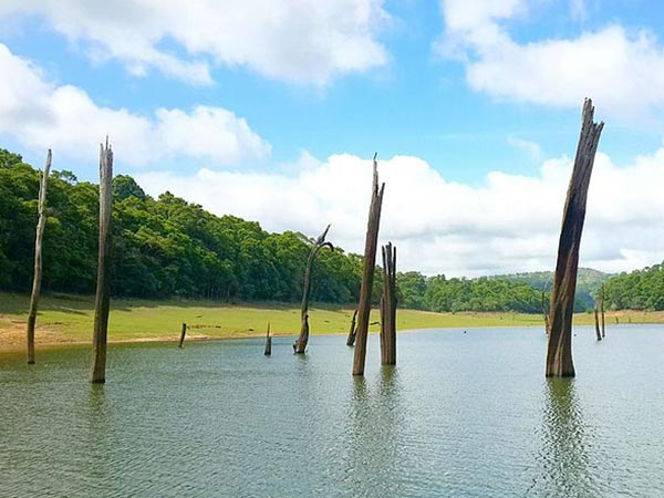 Final Destination – Thekkady