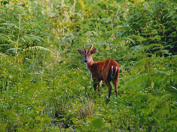 BRT Wildlife Sanctuary