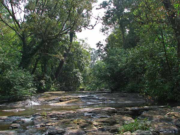Periyar Tiger Reserve