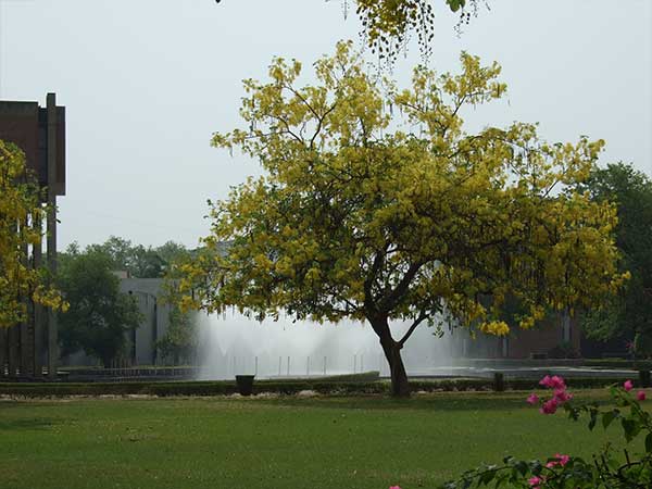 Kanpur