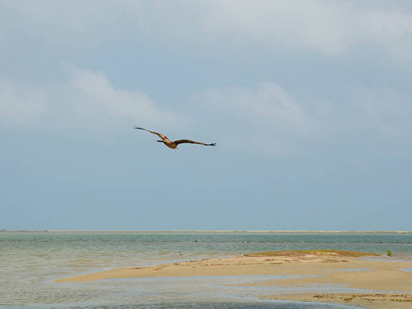 Water Bird Sanctuary