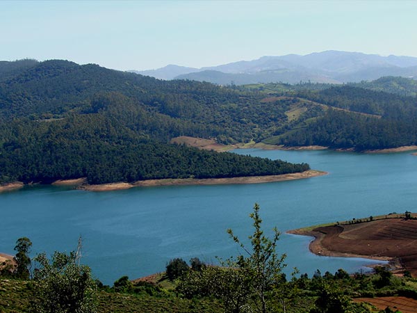 Ooty