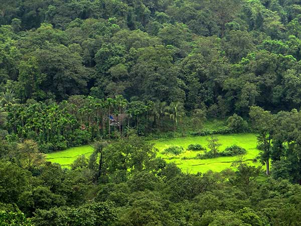 Goa