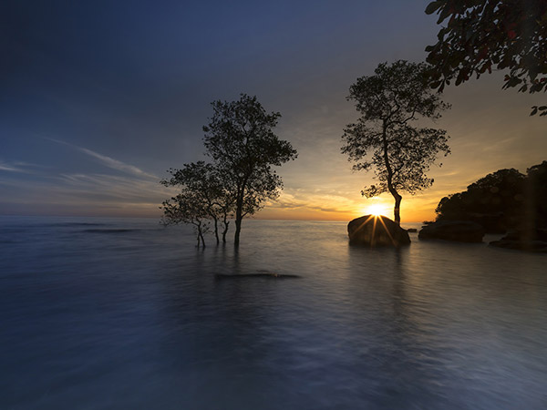 Best Time To Visit Henry's Island